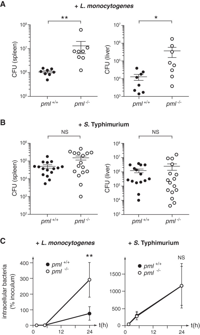 FIG 1 