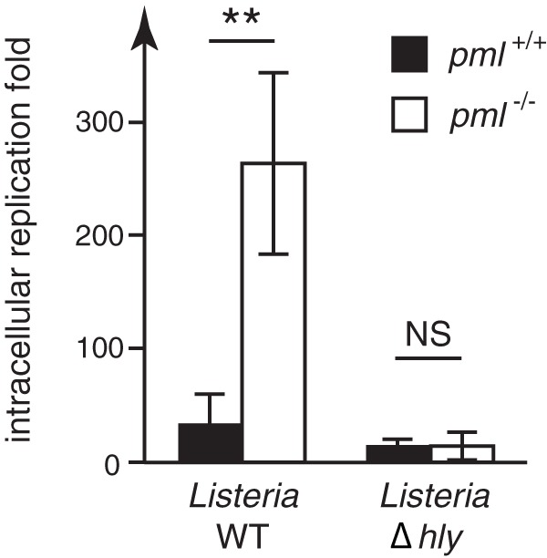 FIG 3 