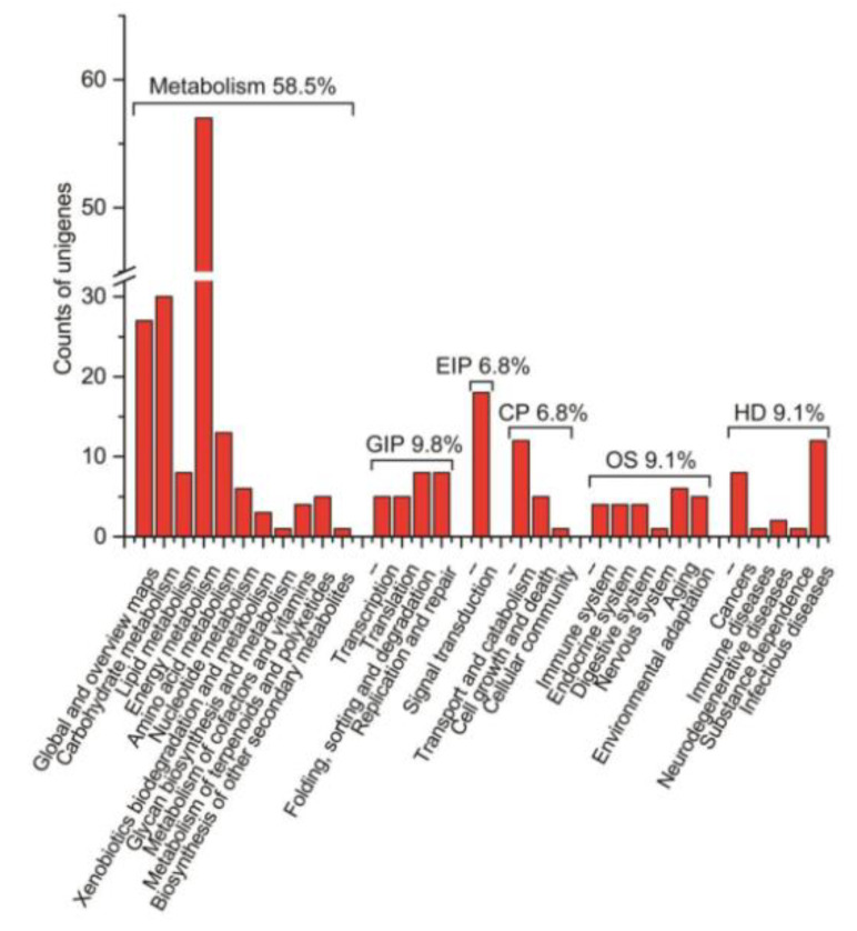 Figure 11