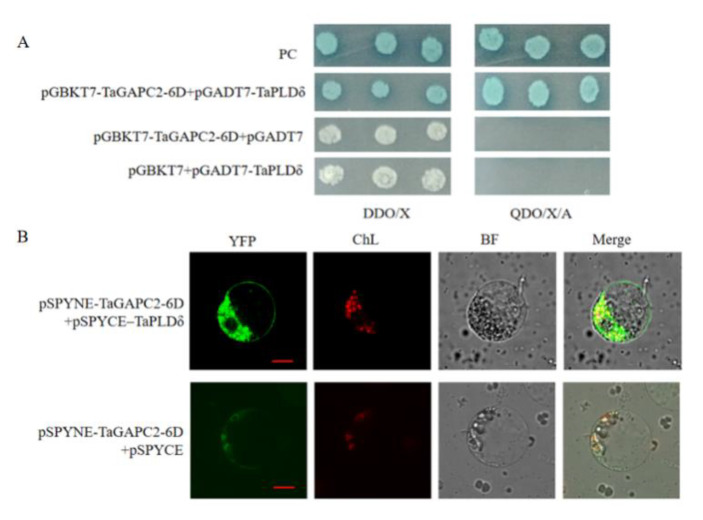 Figure 12