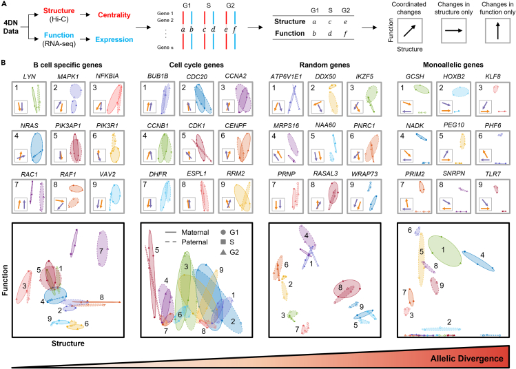 Figure 6