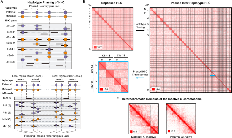 Figure 4