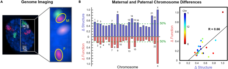 Figure 2