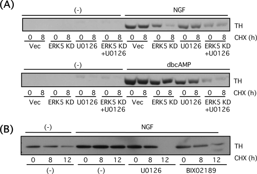 FIGURE 9.