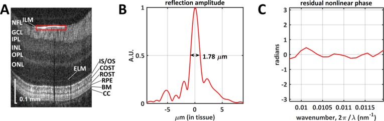 Fig. 3