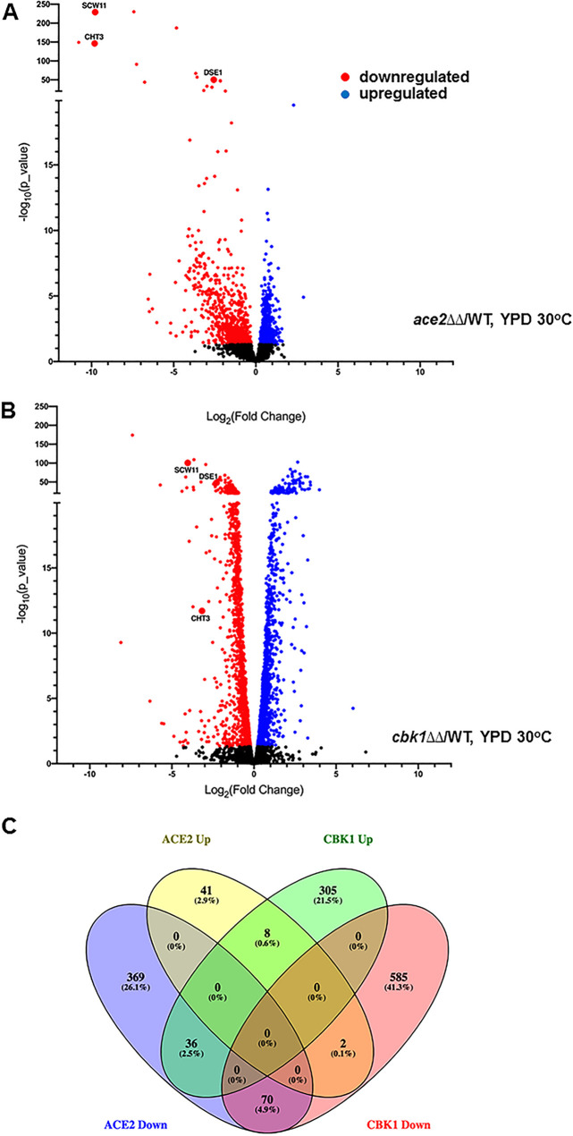 FIG 1