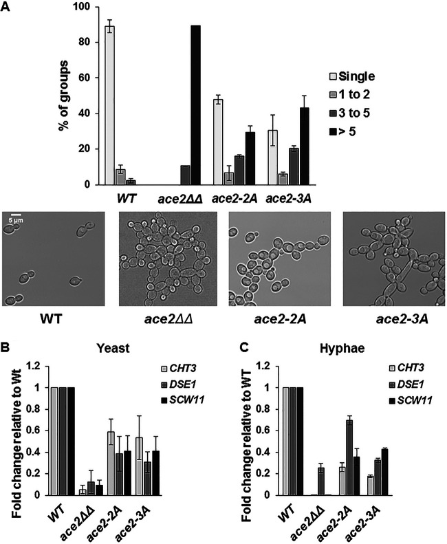 FIG 4