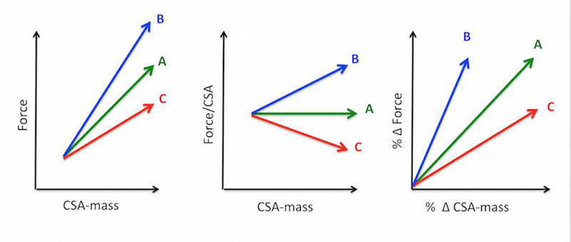 Fig 1.