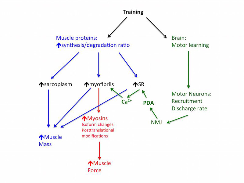 Fig 4.