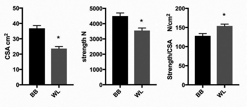 Fig 2.