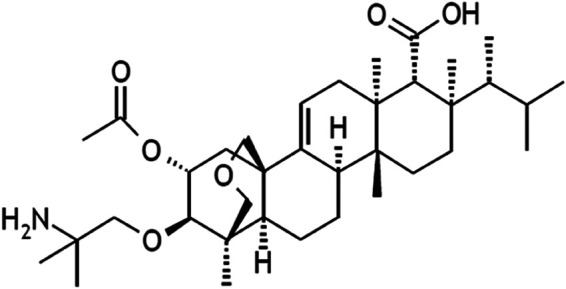 FIG 1