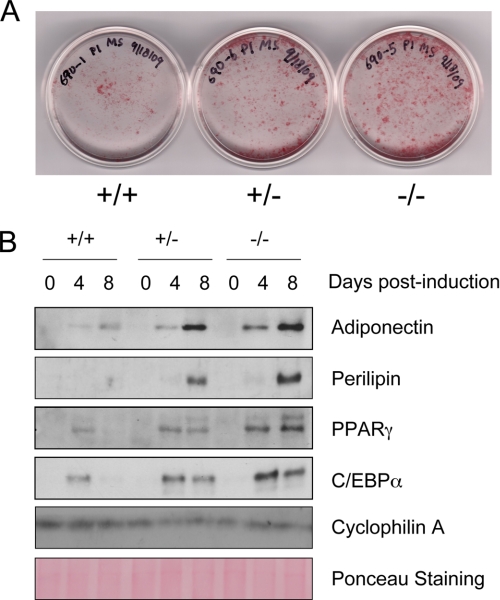 FIGURE 3.