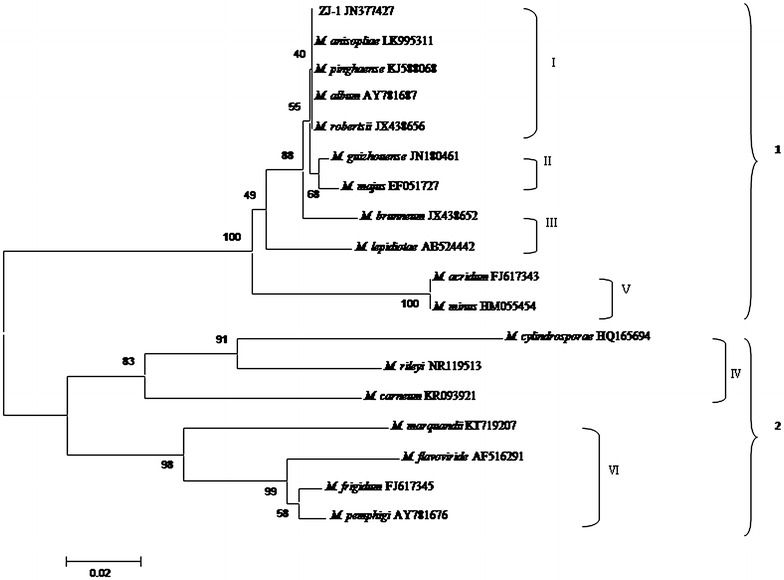 Fig. 1