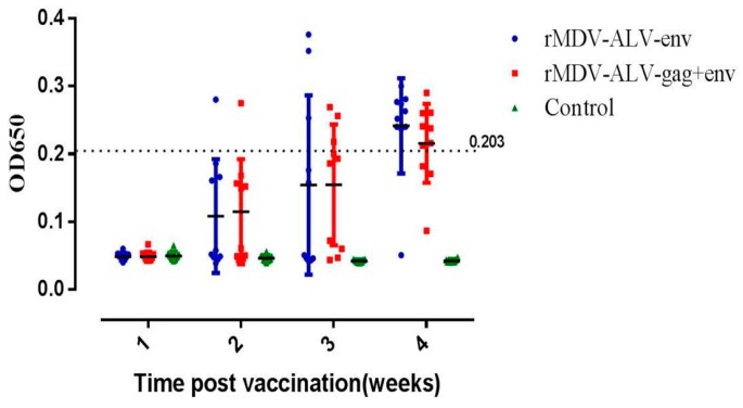 Recombinant Marek’s Disease Virus as a Vector-Based Vaccine against ...