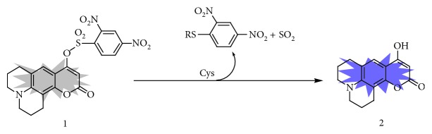 Scheme 2