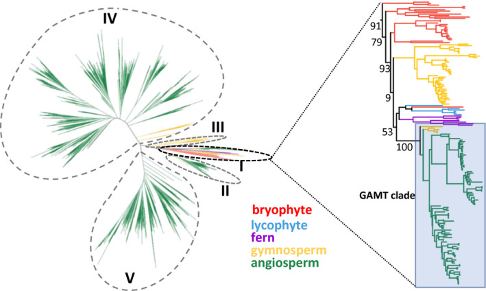 FIGURE 1