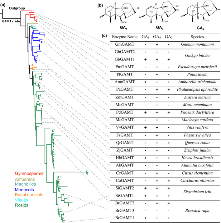 FIGURE 2