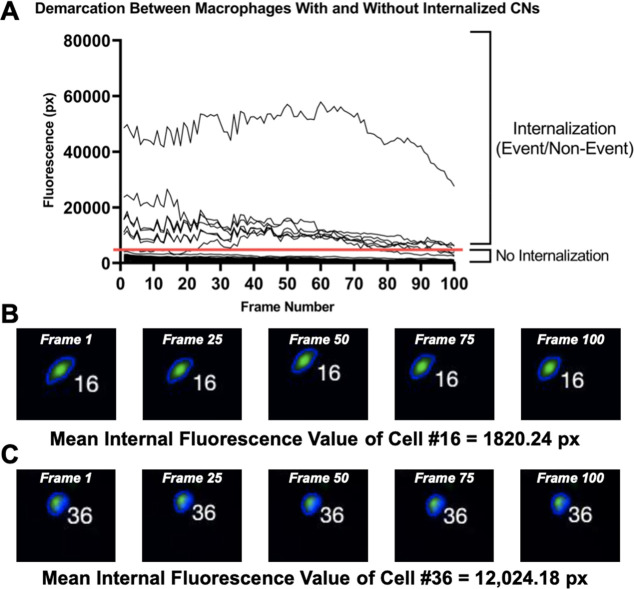 Figure 5