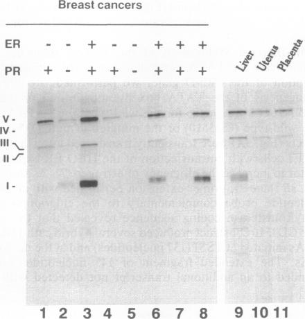 graphic file with name pnas01099-0221-a.jpg