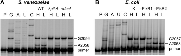 Fig. S3.