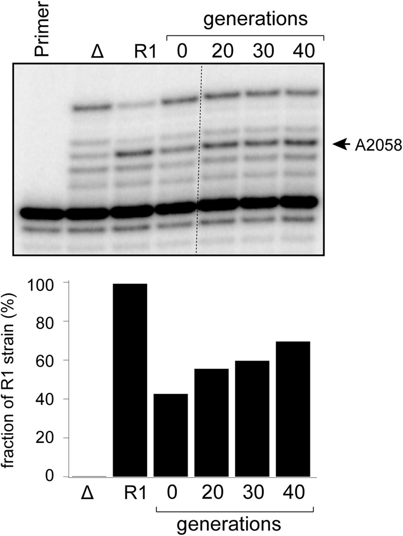 Fig. S6.