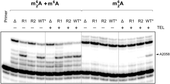 Fig. S4.