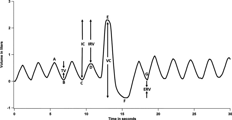 Fig. 2.