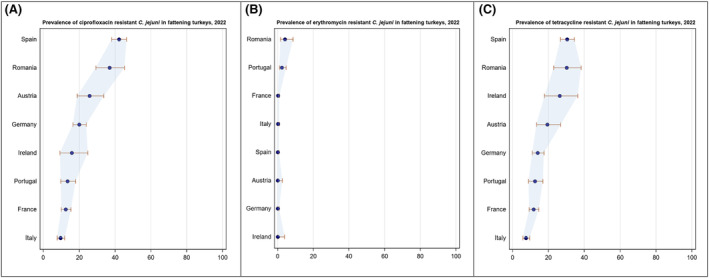 FIGURE 22