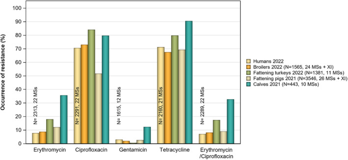 FIGURE 31