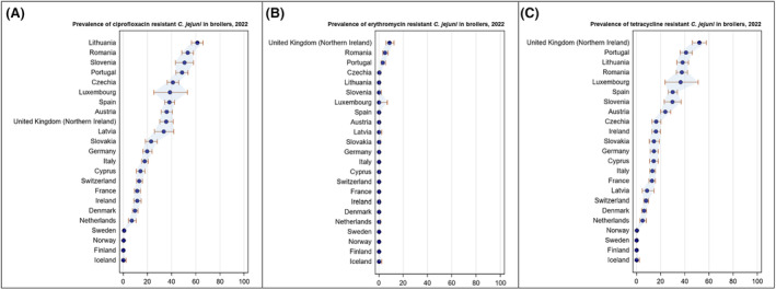 FIGURE 21