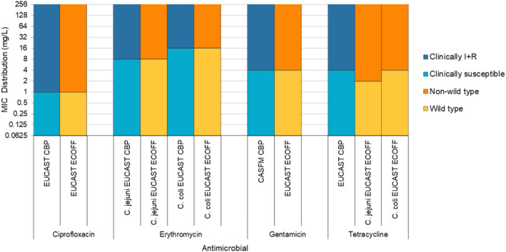 FIGURE 29