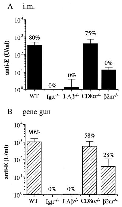 FIG. 5