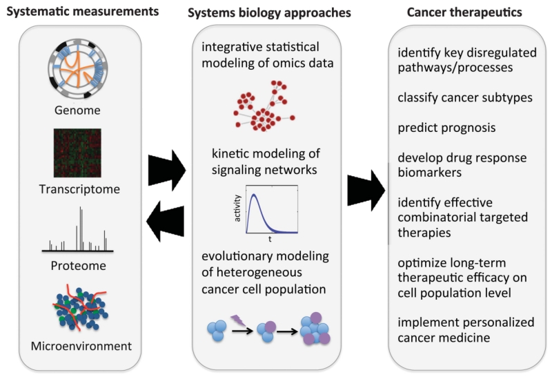 Precision Targeted Therapy Of Ovarian Cancer Pmc