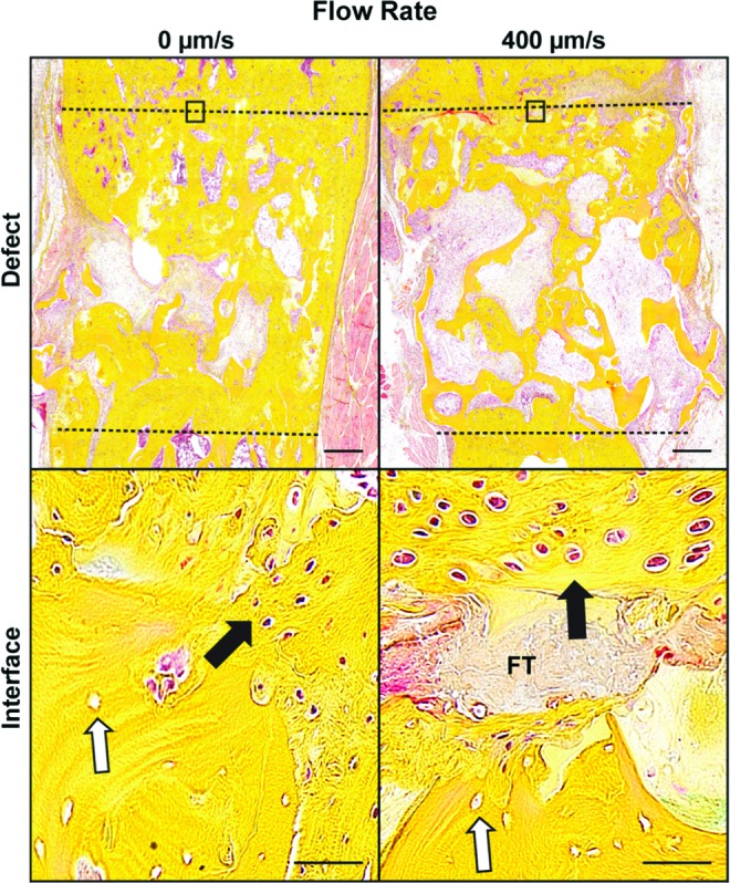 FIG. 7.