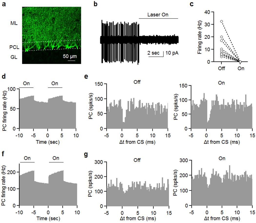 Extended Data Fig. 3