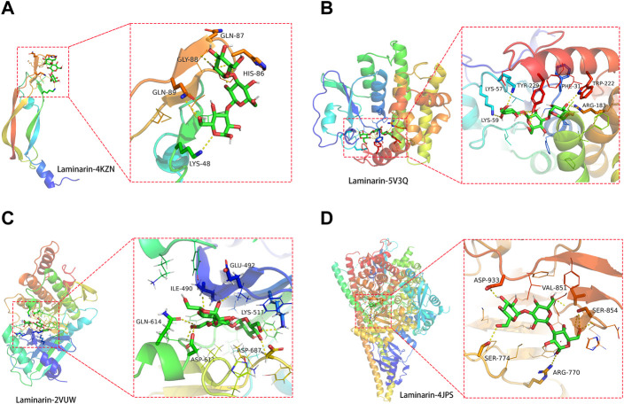 FIGURE 4