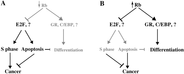 Figure 9.