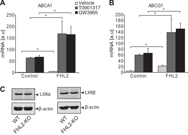 FIG 6