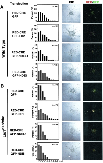 FIG.8.