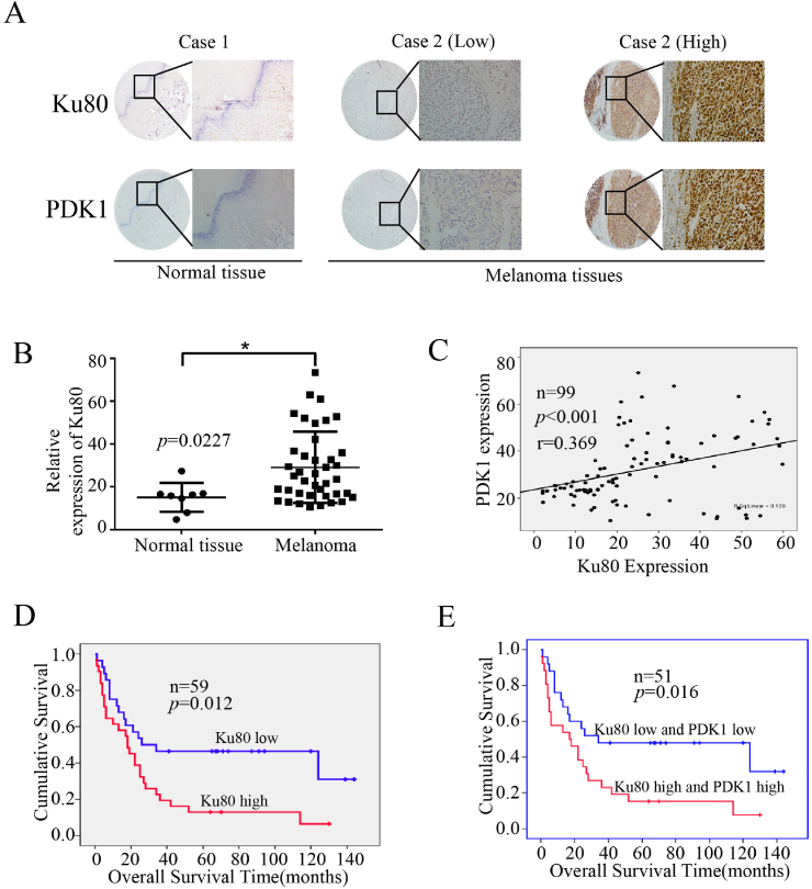 Fig. 11