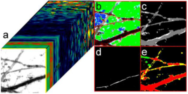 Fig. 20