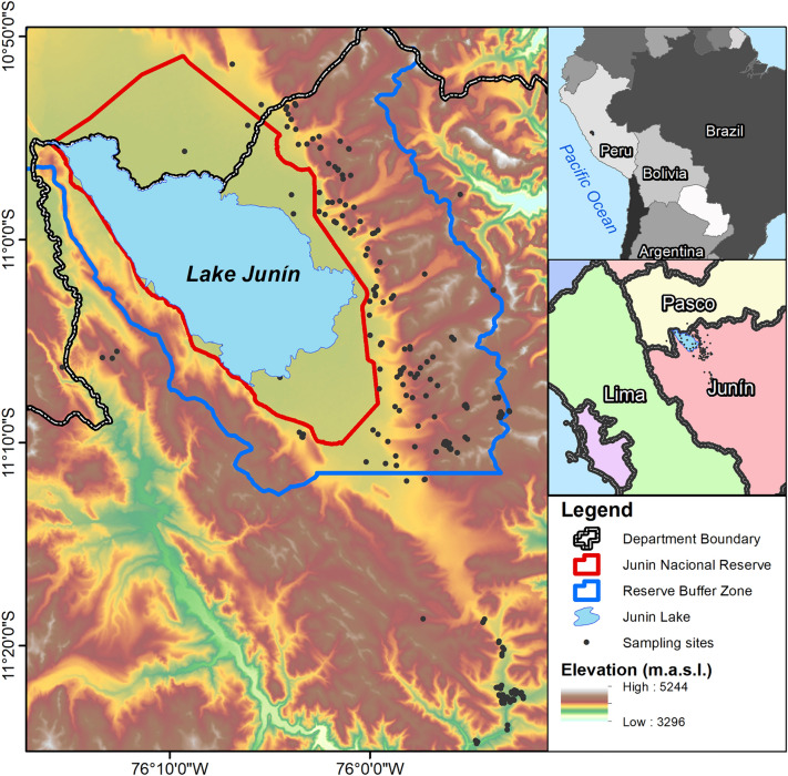 Figure 1