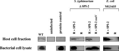 FIG. 8.