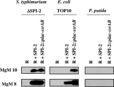 FIG. 5.