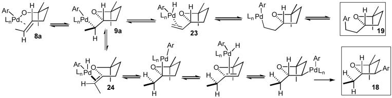 Scheme 4