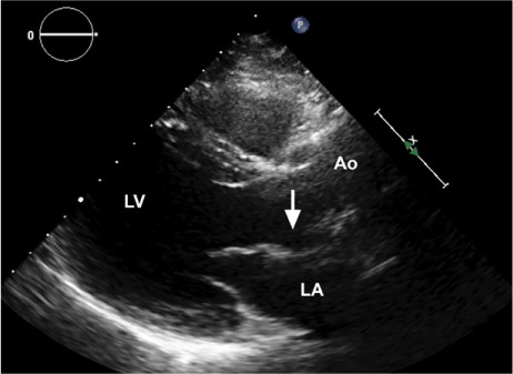 Fig. 5