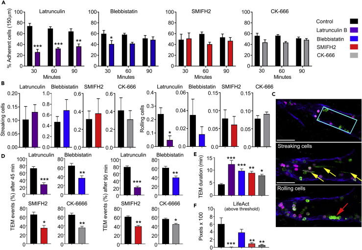 Figure 6