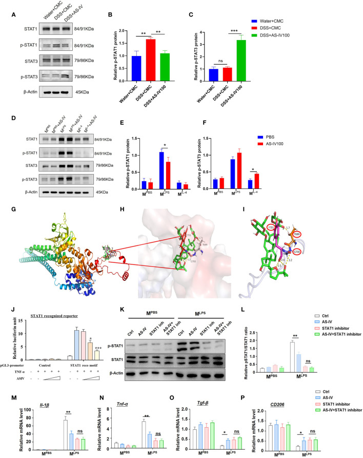 Figure 6