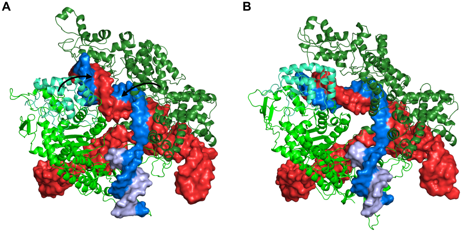 Figure 7.