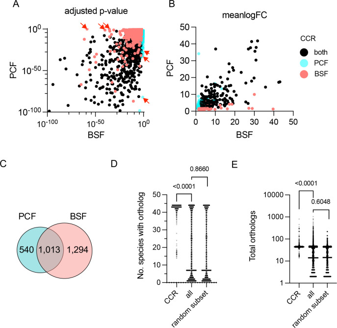 Figure 4—figure supplement 1.